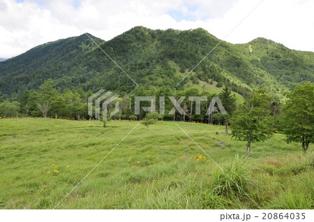 夏の笠取山の高原 20864035