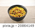 カレーうどん 20864149
