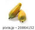 パパイヤ 20864152