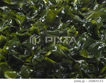 わかめ 20864153