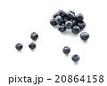 ブルーベリー 20864158