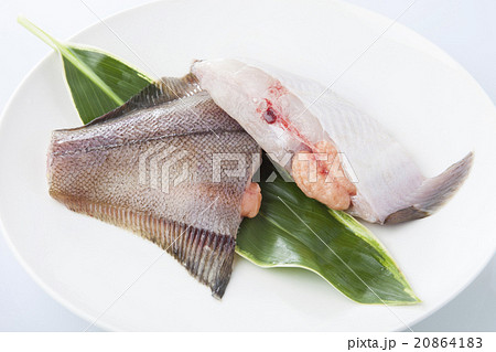 子持ちカレイ 子持ちカレイ 20864183