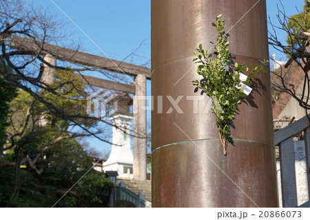 鳥居に供えられた榊, 伊勢山皇大神宮の参道、横浜 20866073