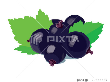Black currants with leaves. Simplified 20866685