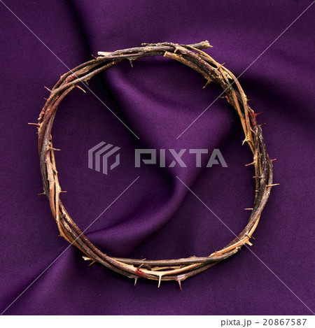 the crown of thorns of Jesus Christ the crown of thorns of Jesus Christ 20867587