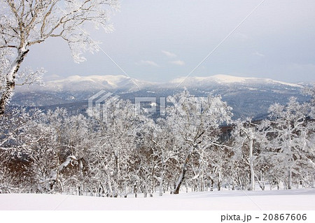 蓬莱山から見る霧氷と冬の漁岳・小漁山 蓬莱山から見る霧氷と冬の漁岳・小漁山 20867606