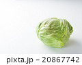 キャベツ 20867742
