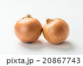 たまねぎ 20867743