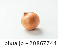 たまねぎ 20867744
