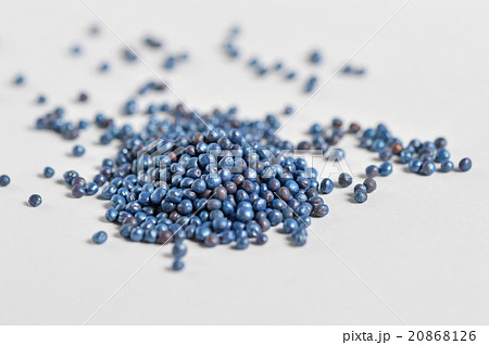 食用　菜花の種（チウラム処理済み） 20868126