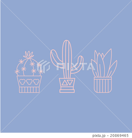 Plants and Cactuses in Pots. Linear Vector Set Plants and Cactuses in Pots. Linear Vector Set 20869465