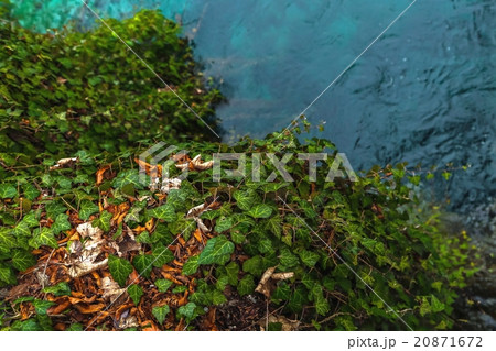 Abstract nature background Abstract nature background 20871672