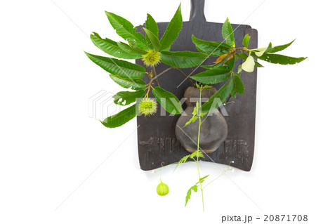 クリの実とフウセンカズラを飾る 20871708