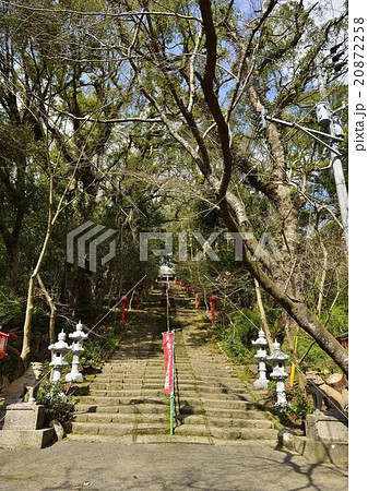 新田神社参道 新田神社参道 20872258