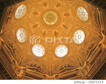 オーストリア ウィーンの自然史博物館内 オーストリア ウィーンの自然史博物館内 20872524