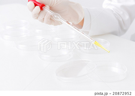 実験中の研修員 実験中の研修員 20872952