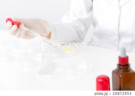 実験中の研修員 実験中の研修員 20872953