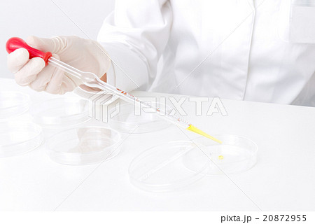 実験中の研修員 実験中の研修員 20872955