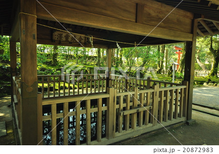 金沢霊澤 20872983