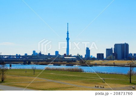 青空が広がる荒川の川原より東京スカイツリーを望む 20873760