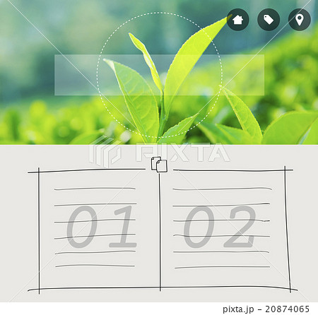 Green Tea Herb Leaf Cultivation Bush Agriculture Concept 20874065