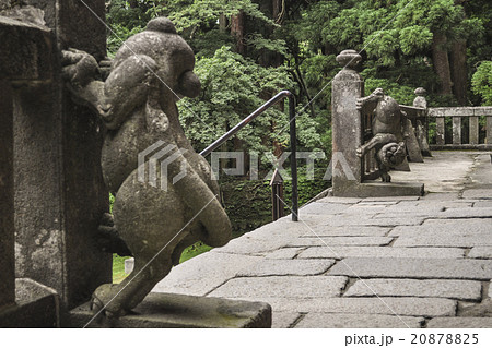 岩木山神社の狛犬の写真素材 8785