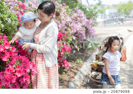 5 years old　&　8 months old 20879098