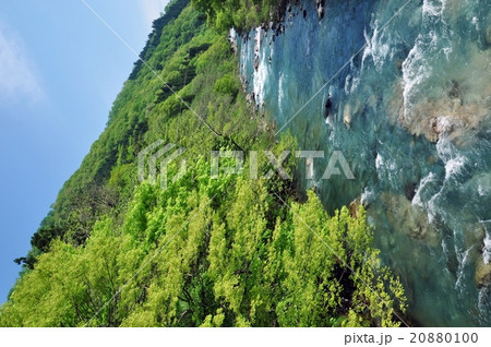 新緑の渓流 新緑の渓流 20880100