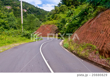 Winding road through Dominica 20880829