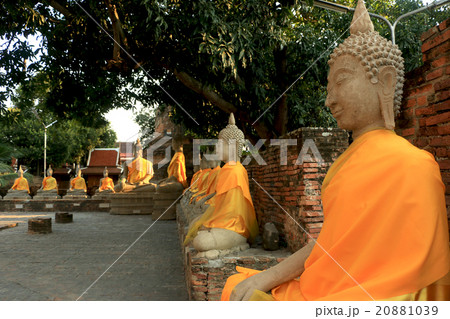 Buddha image and  architecture 20881039