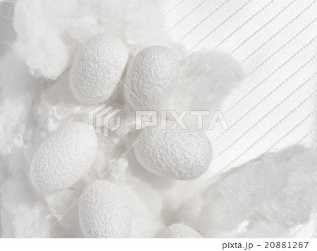 繭と真綿と絹織物 20881267