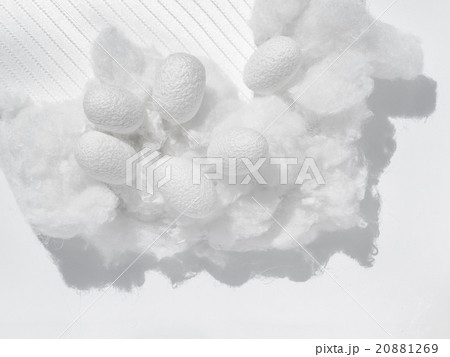 繭と真綿と絹織物 20881269