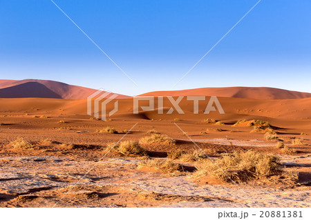 Hidden Vlei in Namib desert Hidden Vlei in Namib desert 20881381