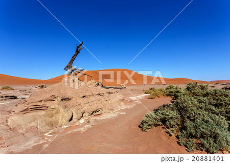 Hidden Vlei in Namib desert 20881401
