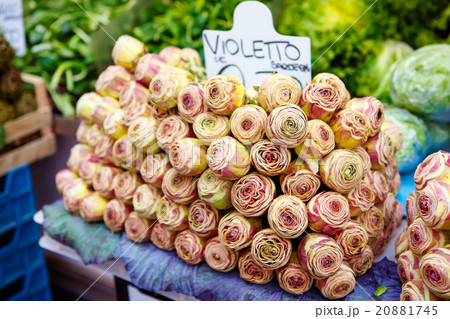 Purple Italian artichokes at the farmers market Purple Italian artichokes at the farmers market 20881745