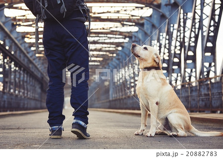 Man with his dog 20882783