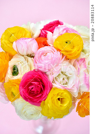 ラナンキュラスの花。フラワーアレンジメント、生け花。 ラナンキュラスの花。フラワーアレンジメント、生け花。 20883114