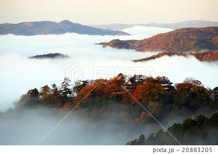 天空の城　備中松山城299 20883205