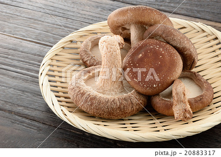 椎茸 20883317