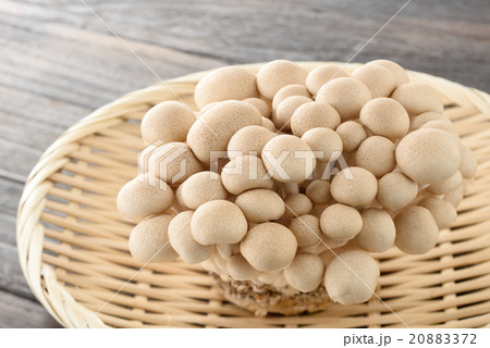 しめじ しめじ 20883372