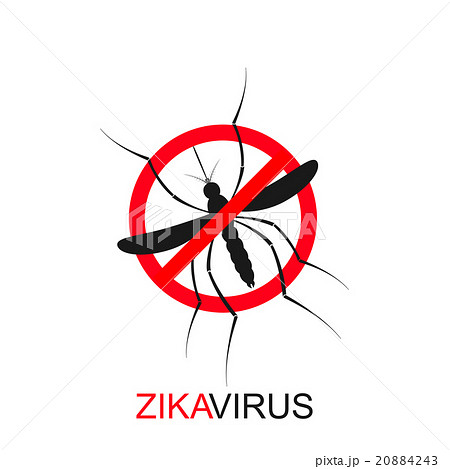 Zika mosquito vector. Virus alert. Aedes Aegypti 20884243