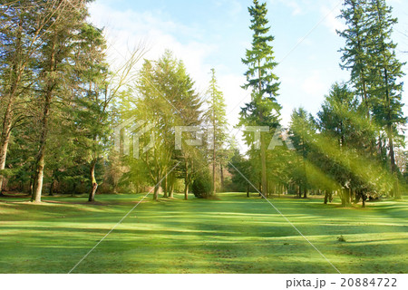 Green park Green park 20884722