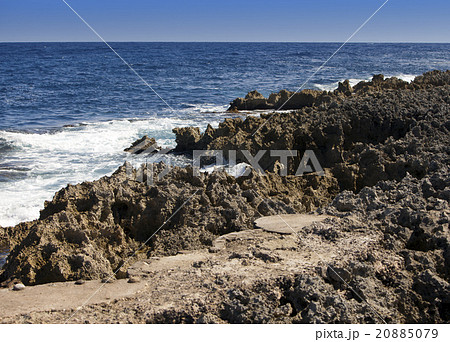 The coral coast . Jamaica. The coral coast . Jamaica. 20885079