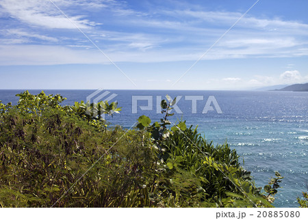 Jamaica. The sea in the sunny day 20885080