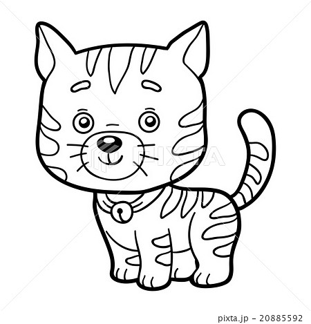 Coloring book, coloring page (cat) 20885592