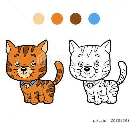 Coloring book, coloring page (cat) 20885593