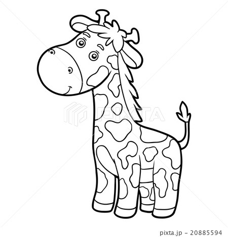 Coloring book, coloring page (giraffe) 20885594
