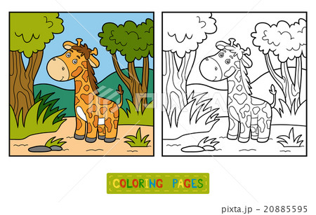 Coloring book (giraffe and background) 20885595