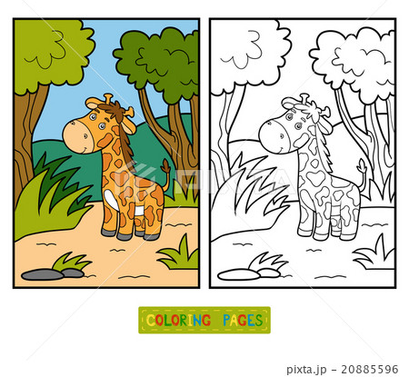 Coloring book (giraffe and background) 20885596