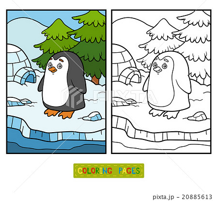 Coloring book (penguin and background) 20885613